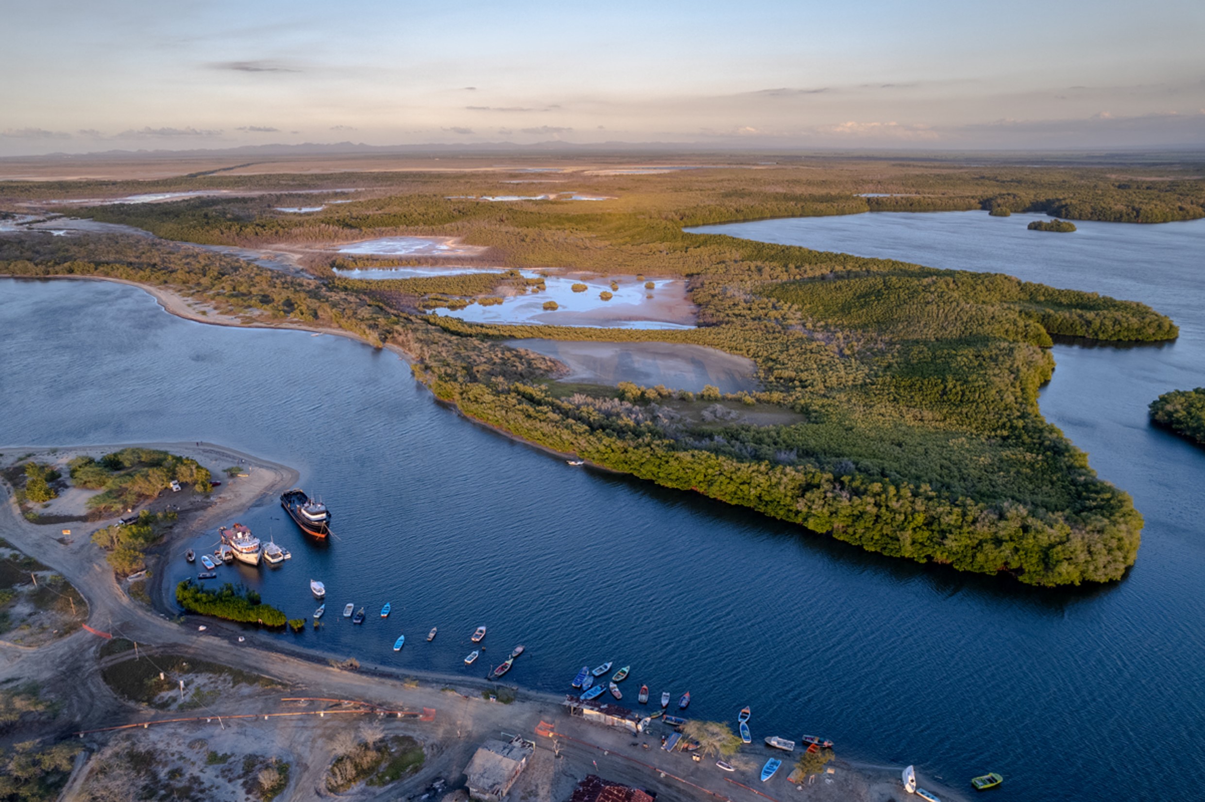 Humedales De Estero Balsa